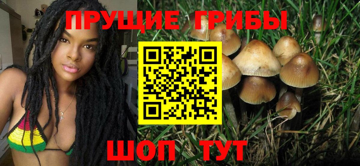 Псилоцибиновые грибы ЛСД Пушкино