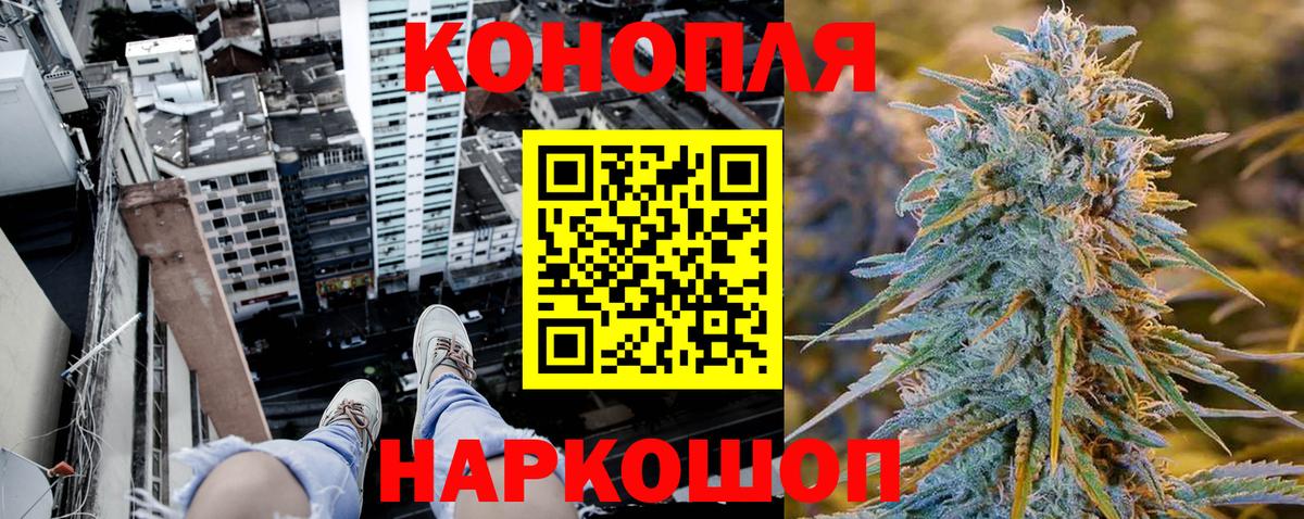 Конопля семена  Вход с VPN  МАРИХУАНА тримм  Пушкино  Шишки марихуана марихуана  Бошки Шишки гибрид 
